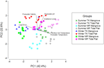 The Microphytobenthos are Abundant and Mediate Key Carbon Fluxes in Tropical Mangroves