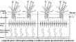 Kinetics study and bio-phase characteristics of drainage in paddy fields purified by a compound ecological ditch