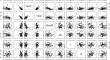 Development of a Machine Learning (ML)-Based Computational Model to Estimate the Engineering Properties of Portland Cement Concrete (PCC)