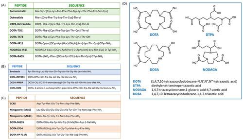 Radiolabeled peptides and their expanding role in clinical imaging and targeted cancer therapy