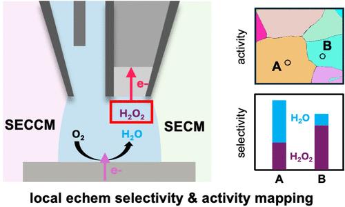 Simultaneous Mapping of Electrocatalytic Activity and Selectivity via Hybrid Scanning Electrochemical Probe Microscopy