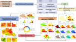 Urban waterlogging risk susceptibility within changing pattern of rainfall intensity in Delhi, India