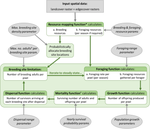 A family of process-based models to simulate landscape use by multiple taxa