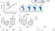 Novel CAR-T cells targeting TRKB for the treatment of solid cancer