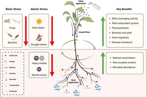 A carbon dot toolbox for managing biotic and abiotic stresses in crop production systems