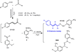 Hydrazone analogs as DNA gyrase inhibitors and antioxidant agents: Structure-activity relationship and pharmacophore modeling