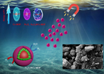 Magnetic cobalt metal organic framework for photocatalytic water splitting hydrogen evolution.