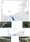 Habitat-Dependent Variation in the Relative Abundance and Growth of the YOY of Five Species of Mugilids in the South-Western Mediterranean