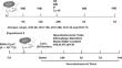 Cystatin C Attenuates Perihematomal Secondary Brain Injury by Inhibiting the Cathepsin B/NLRP3 Signaling Pathway in a Rat Model of Intracerebral Hemorrhage.