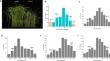 OsMYB305 on qATS1 positively regulates alkalinity tolerance at the seedling stage in japonica rice