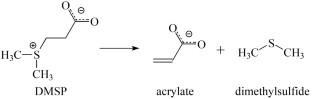 Acrylate Reductase of an Anaerobic Electron Transport Chain of the Marine Bacterium Shewanella woodyi