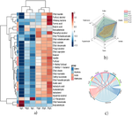 Uncovering changes in mulberry brandy during artificial aging using flavoromics