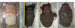 Dielectric Model of the Upper Organic Layer of Forest Soils for a Frequency of 435 MHz