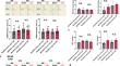 Correction to: Complementary role of peripheral and central autonomic nervous system on insulin-like growth factor-1 activation to prevent fatty liver disease.