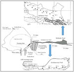 Zirconium-95 Distribution in Bottom Sediments of the Techa River in 1952–1955