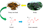 Molecular hybridization method for obtaining paeonol-based fibrate derivatives with potent lipid-lowering and hepatoprotective activity