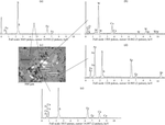 Determining Modes of Thiol Collector Attachment at Sulfide Minerals by Optical, Electron Scanning and Laser Microscopy