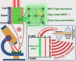 Plasmon coupling-driven enhanced high-order multiphoton excited fluorescent performance of metal-organic frameworks