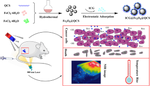 Effect of quaternized chitosan magnetic nanoparticles carrying indocyanine green phototherapy on cervical cancer cells