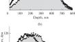 Effect of Irradiation on Grain Size and Texture in Mo and Ta Films