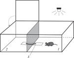 The Complex System of the Mouse Brain: Selection for Successful Solution of a Cognitive Test