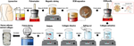 Extraction and Characterization of Human Adipose Tissue-Derived Collagen: Toward Xeno-Free Tissue Engineering.