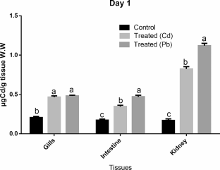 Sublethal Concentrations of Cadmium and Lead: Effects on Hemato-Biochemical Parameters and Tissue Accumulation in Wallagu attu.