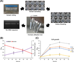 Medium Chain Length Polyhydroxyalkanoate Production by Engineered Pseudomonas gessardii Using Acetate-formate as Carbon Sources.