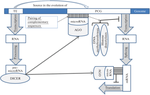 The Role of Transposable Elements in Long-Term Memory Formation