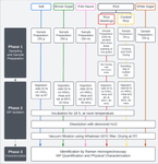 Microplastics contamination in selected staple consumer food products