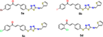 Emphasized DFT, DNA binding, and electrochemical studies of hybrid 1,3,4-thiadiazole-linked chalcone confined via a sulfur bridge