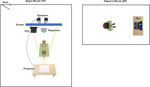 Exploring the use of projected videos to test action matching from different perspectives in dogs.