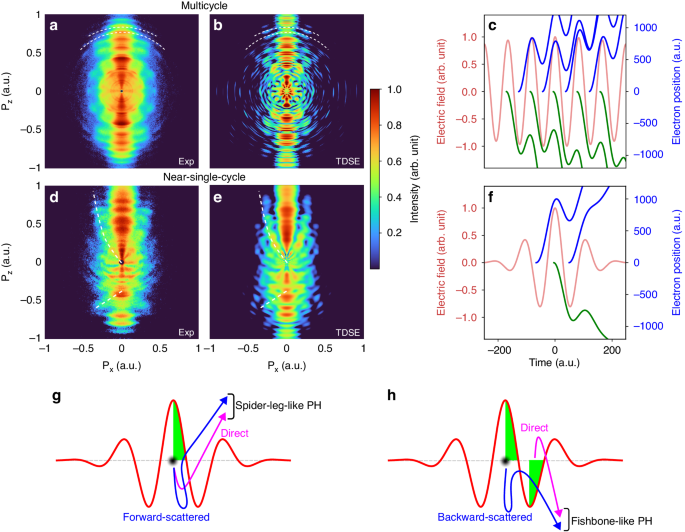 Strong-field photoelectron holography in the subcycle limit.