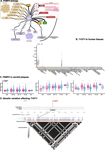 The Effects of FABP4 on Cardiovascular Disease in the Aging Population.