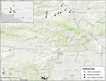 Genomic and common garden data reveal significant genetic differentiation in the endangered San Fernando Valley spineflower Chorizanthe parryi var. fernandina