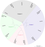 Genome-wide Identification and Characterization of the Ascorbate Peroxidase Gene Family in Citrus sinensis in Response to Huanglongbing