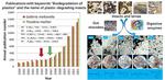 Radical innovation breakthroughs of biodegradation of plastics by insects: history, present and future perspectives