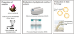 Hibiscus sabdariffa-loaded nanostructured lipid carriers (NLC) for fortified nutraceutical milks