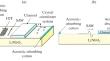 Traveling Surface Acoustic Wave Induced Removal of NSB Proteins from the Acoustic Biosensor