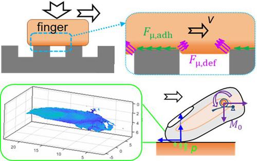 Experiment and modelling of texture and sliding direction dependence on finger friction behavior