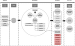 Defining Mechanistic Pathways for Anthropogenic Noise Impact on Avian Species