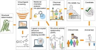 Rational Design of Drugs Targeting G-Protein-Coupled Receptors: A Structural Biology Perspective