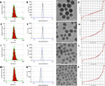 Immunomodulatory potential of rapamycin-loaded mesoporous silica nanoparticles: pore size-dependent drug loading, release, and in vitro cellular responses.