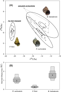 Isotopes suggest trophic differences between alien Radix auricularia (Linnaeus, 1758) (Lymnaeidae) and sympatric endemic gastropods in Lake Baikal