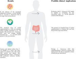 How xylitol, gluten, and lactose change human gut microbiota Escherichia coli and Lactobacillus rhamnosus GG biofilm