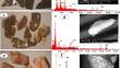 Maximizing the Processing of Polymetallic Concentrates via Actinide Separation and Rare Earth Retrieval