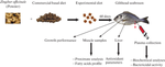 Dietary Supplementation with Ginger Zingiber officinale improves the Oxidative Stress Status and Plasma Parameters in Farmed Gilthead Sea Bream Sparus aurata