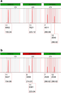 NSPlex: an efficient method to analyze non-specific peaks amplified using commercial STR kits.