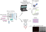 Activated Endothelium Stimulates the Activity of Multipotent Mesenchymal Stromal Cells under Physiological Hypoxia or Short-Term Hypoxic Stress in vitro