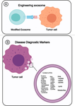 Exosomes as mediators of signal transmitters in biotoxins toxicity: a comprehensive review.